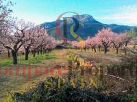 Verkauf - Villa - Jalon Valley - Alcalali