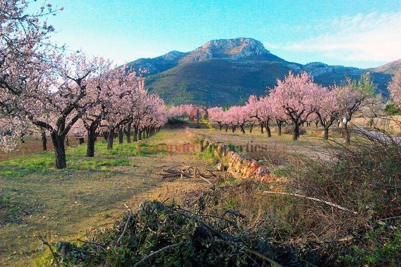 Verkauf - Villa - Jalon Valley - Alcalali