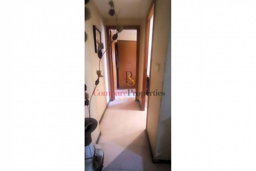  - Apartment - L'Alqueria de la Comtessa - 