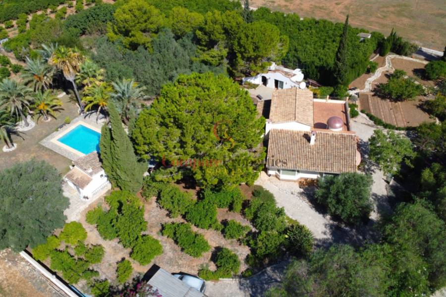 Vente - Villa - Els Poblets - 