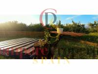 Sale - Apartment - Oliva - 