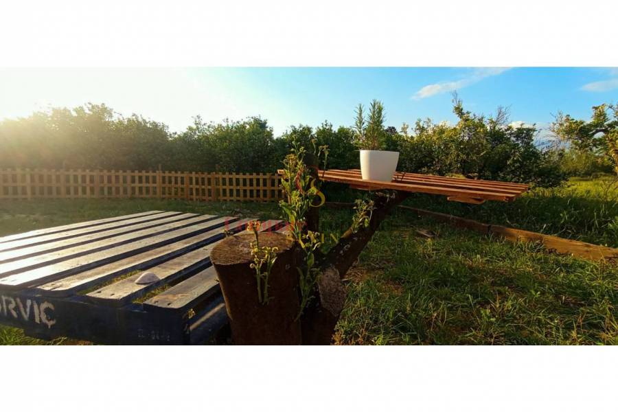 Sale - Apartment - Oliva - 