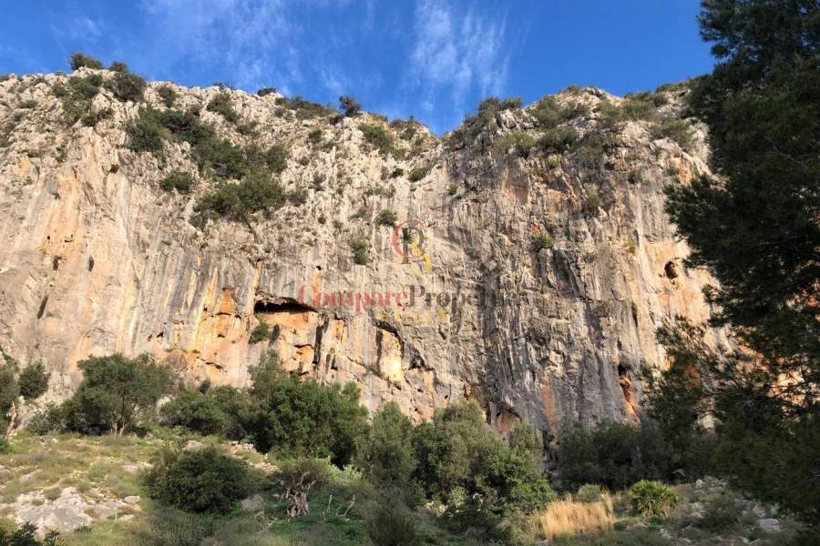Verkauf - Villa - Jalon Valley - Alcalali