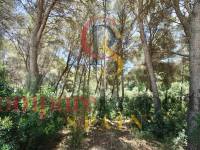 Sale - Plot - Moraira - La Cometa