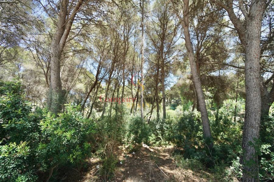 Sale - Plot - Moraira - La Cometa