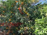 Verkoop - Villa - Monte Pego - 