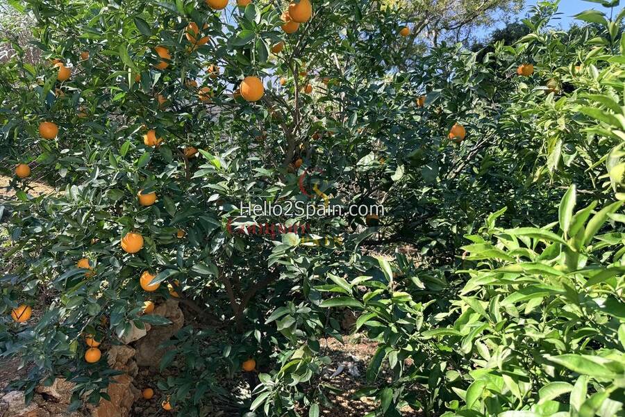 Verkoop - Villa - Monte Pego - 