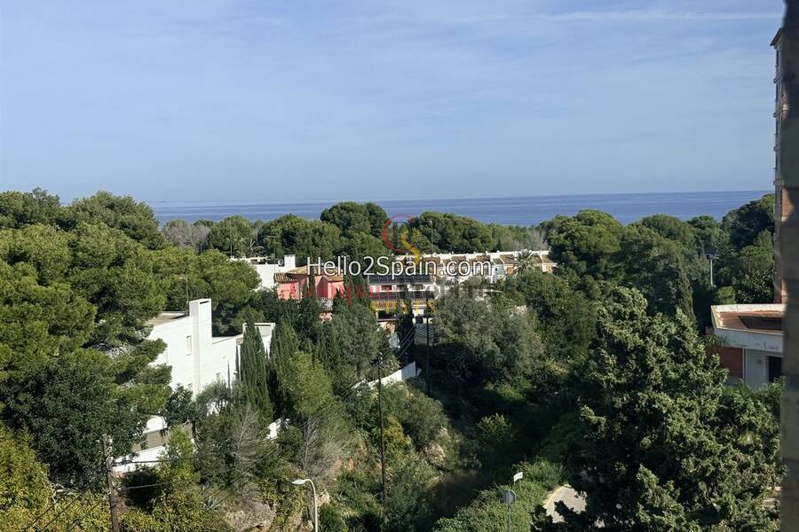 Verkoop - Apartment - Dénia