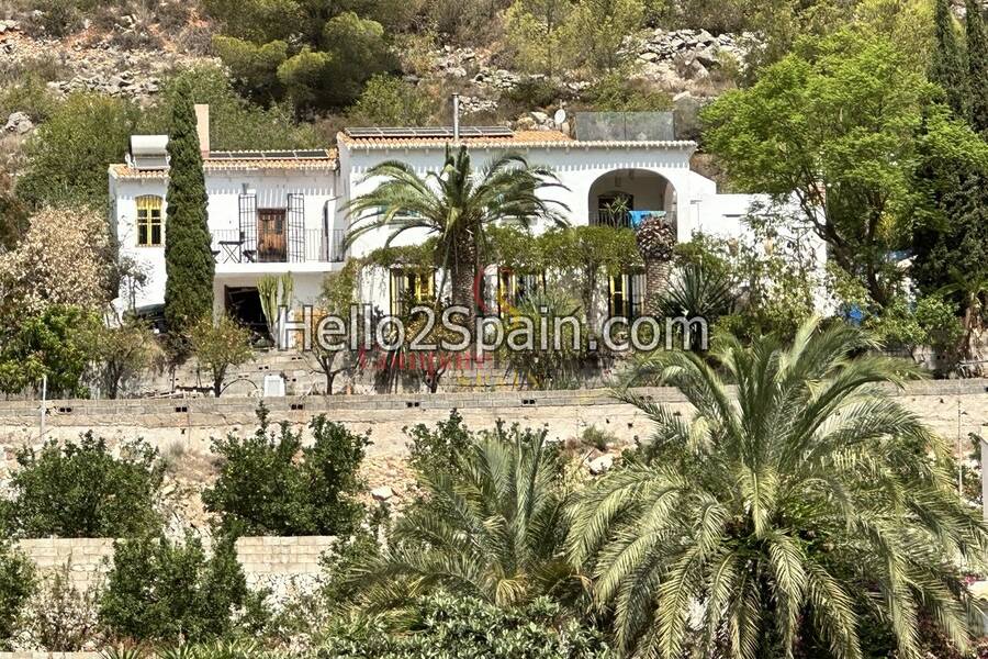 Vente - Villa - Oliva - 