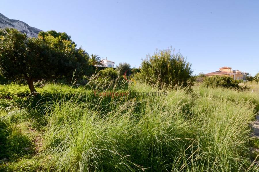 Sale -  - Dénia - Montgo