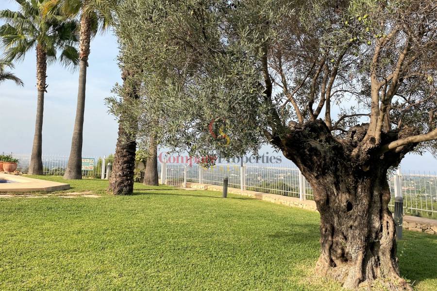 Venta - Apartment - Pedreguer