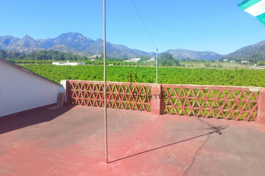 Sale - Apartment - Ador - 