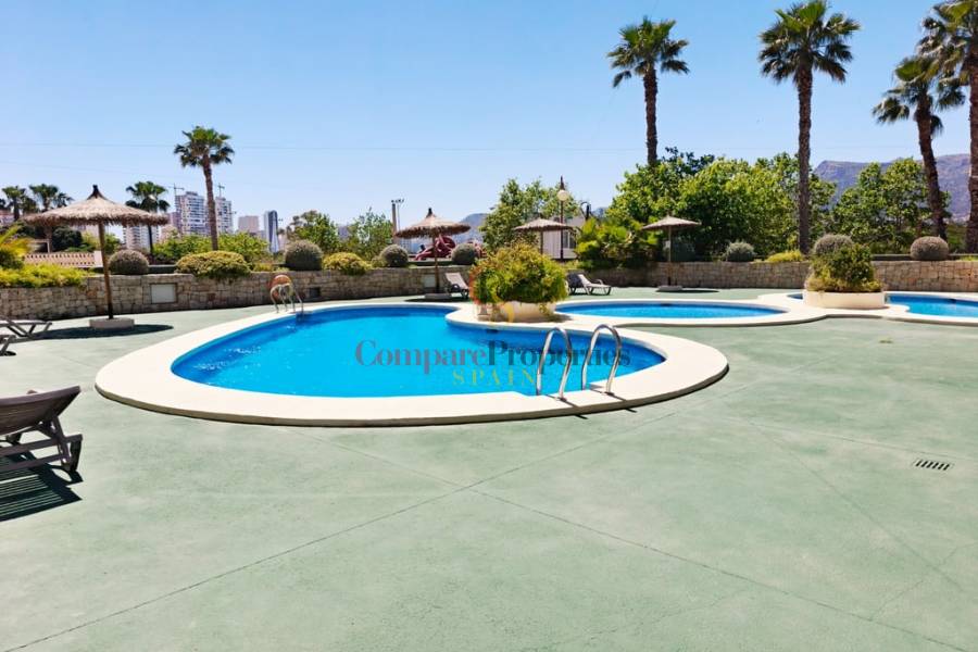 Verkauf - Apartment - Calp