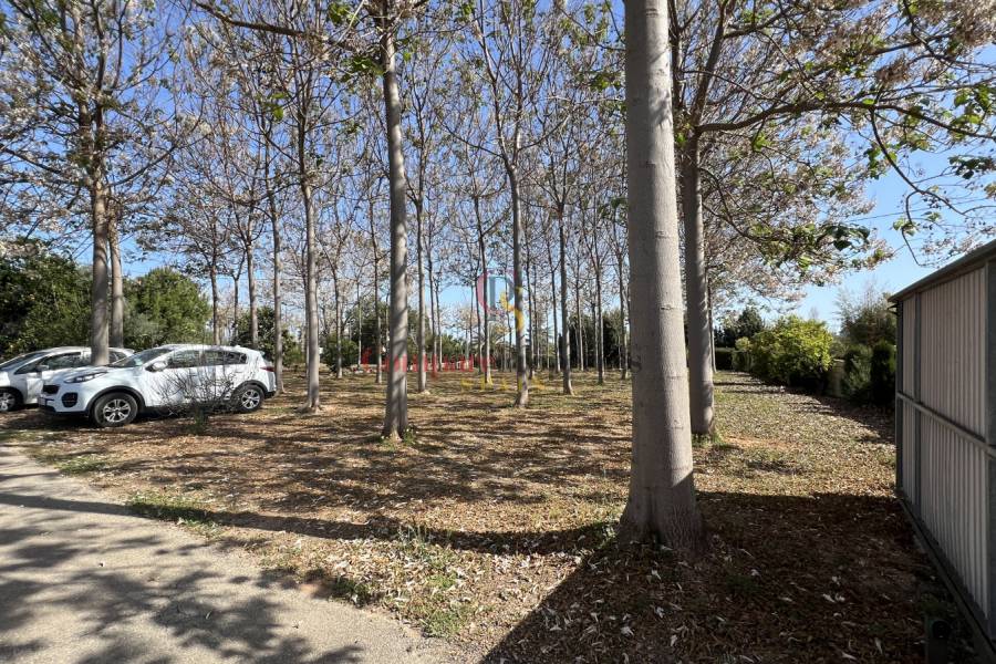 Venta - Villa - Pedreguer