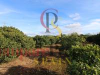 Verkauf - Villa - Ondara