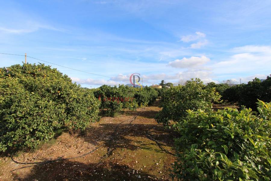 Verkauf - Villa - Ondara