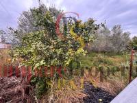 Venta - Villa - Ondara - 