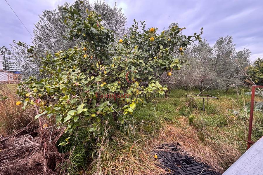 Venta - Villa - Ondara - 