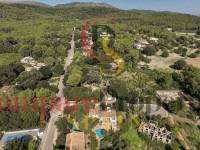 Vente - Apartment - Sa Pobla - Mallorca