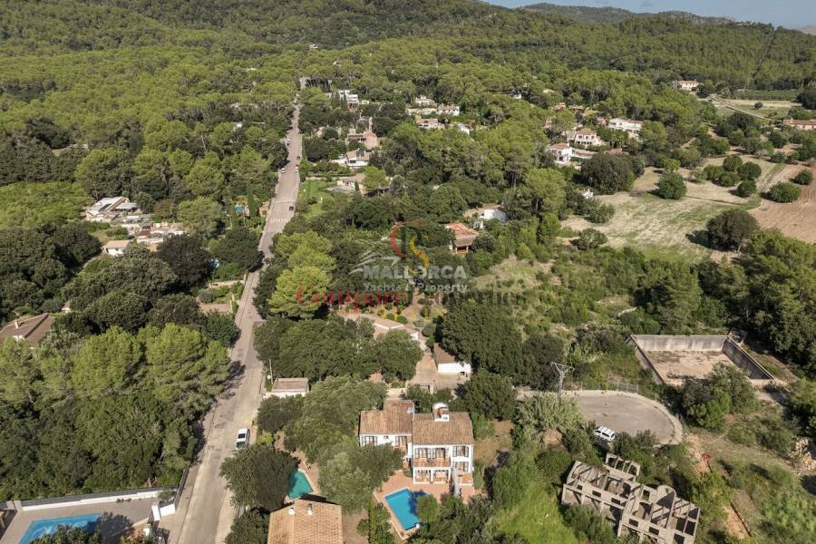 Vente - Apartment - Sa Pobla - Mallorca