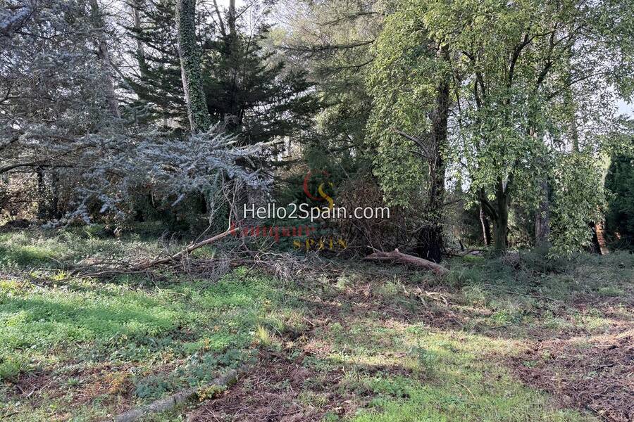 Sale - Villa - Villalonga