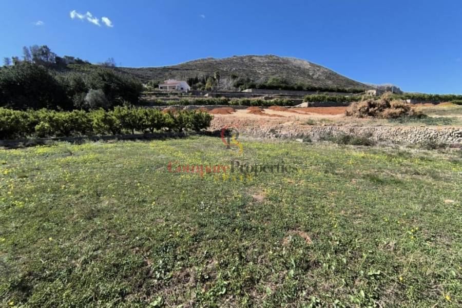 Verkauf - Apartment - Pego