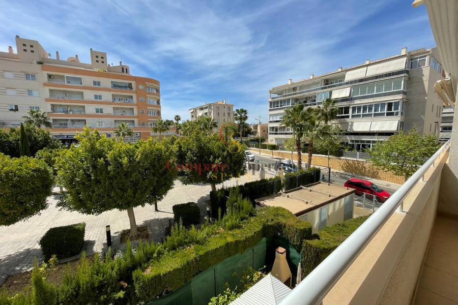 Verkoop - Apartment - Albir - Centro