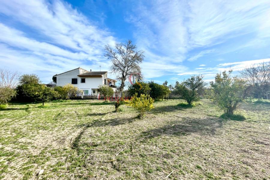 Vente - Villa - Benejuzar - Comunidad Valenciana