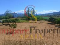 Sale - Apartment - Ador - 