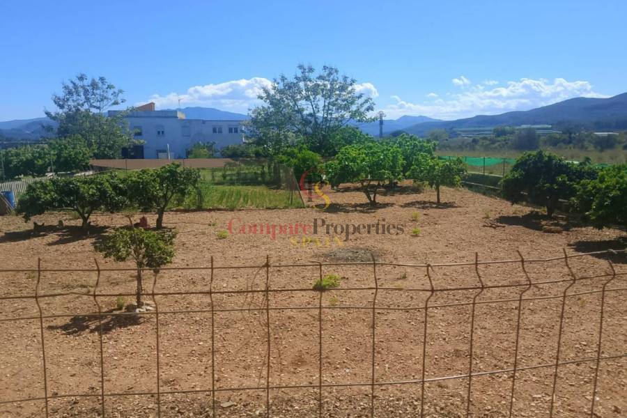 Sale - Apartment - Ador - 