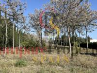 Venta - Villa - Pedreguer