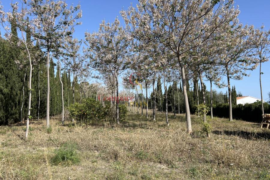 Venta - Villa - Pedreguer