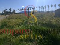 Sale - Apartment - Oliva - 
