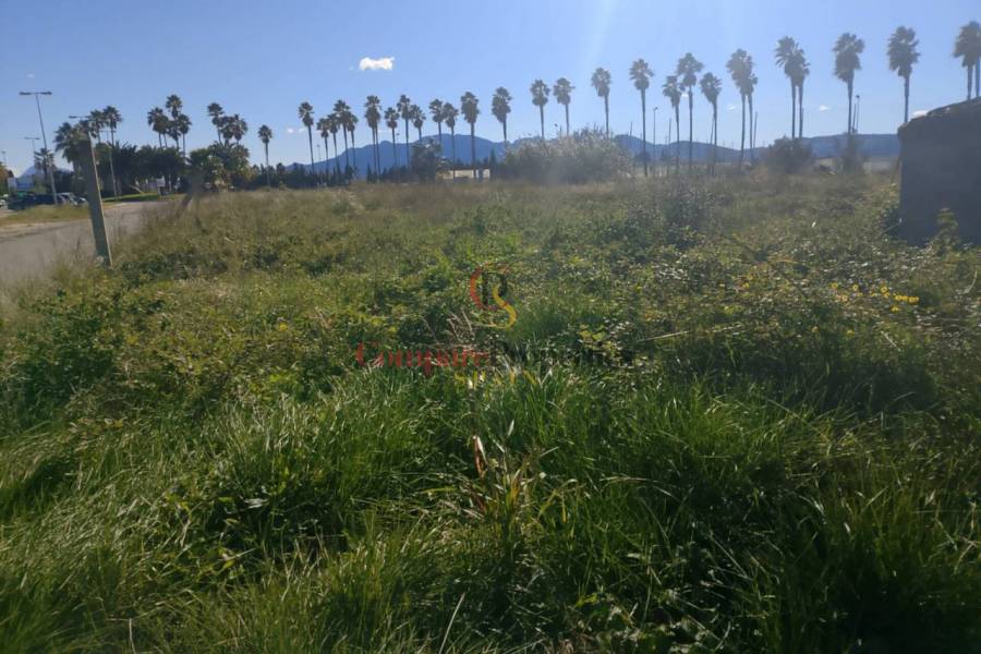 Sale - Apartment - Oliva - 