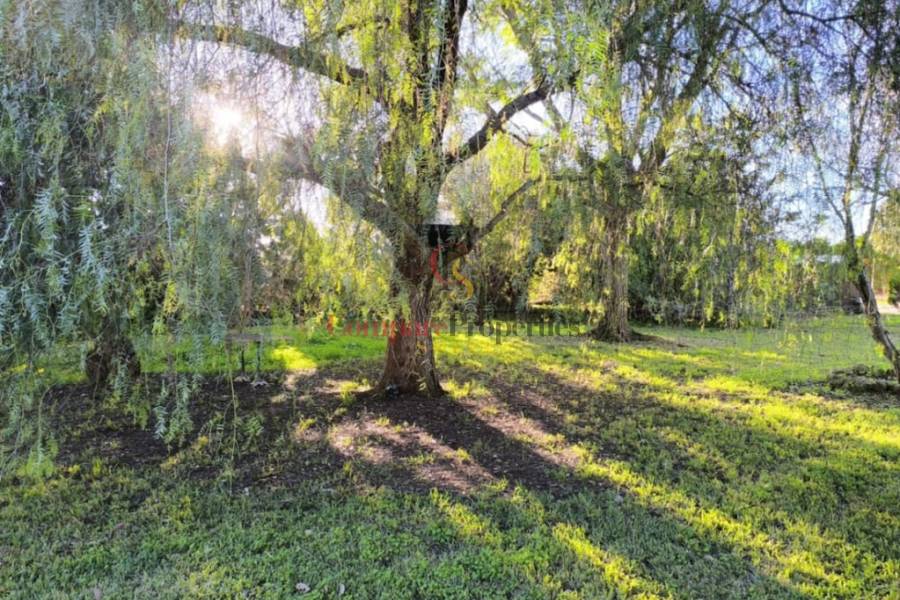 Venta - Villa - Ondara - 