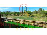 Sale - Apartment - Oliva - 