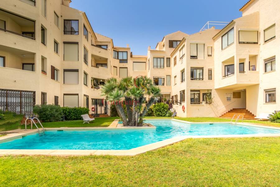Vente - Apartment - Albir
