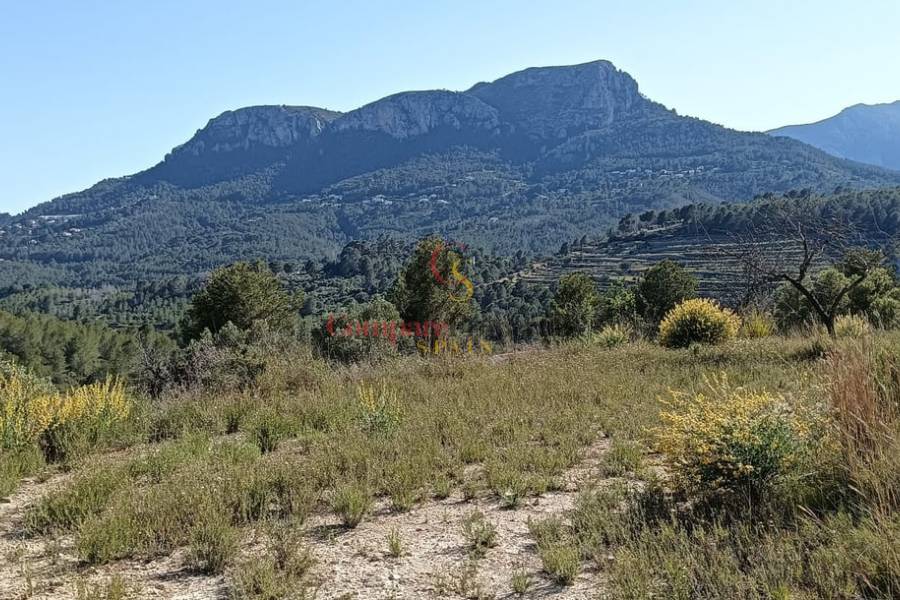 Verkoop - Apartment - Benissa