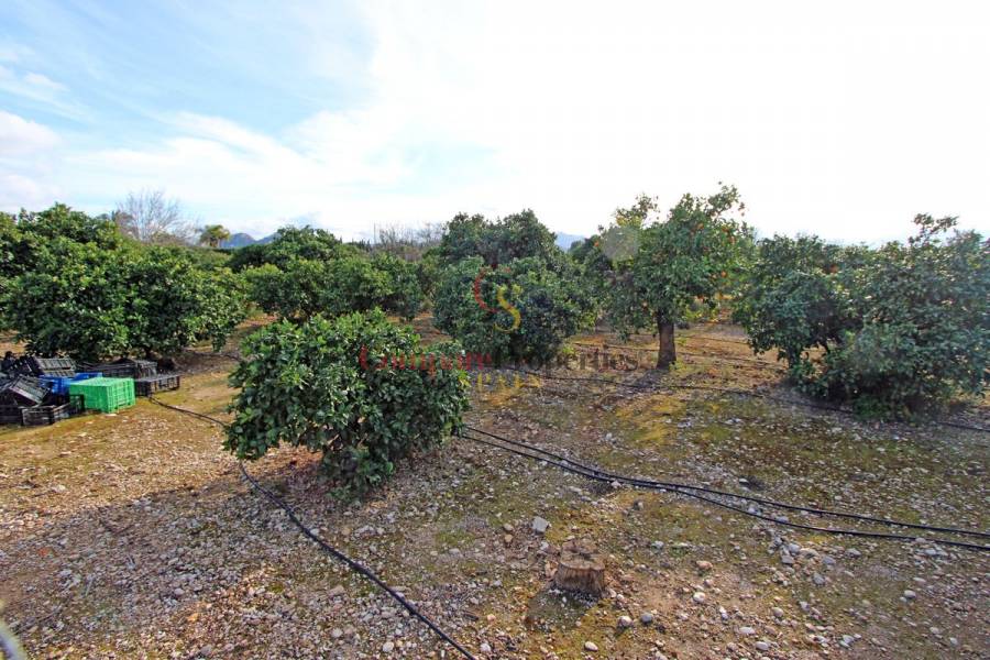 Verkauf - Villa - Ondara