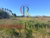 Sale - Apartment - Oliva - 