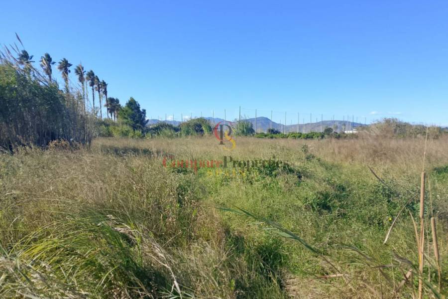 Sale - Apartment - Oliva - 
