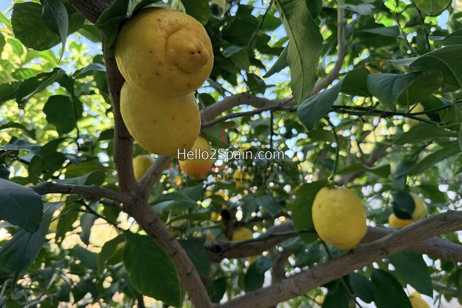 Verkoop - Villa - Monte Pego - 