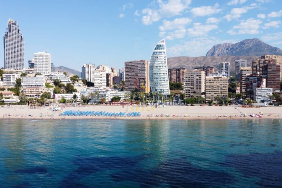 Nueva construcción  - Apartment - Benidorm - Playa Poniente