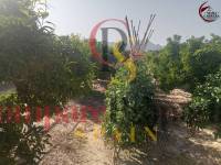 Sale - Apartment - Gandía - 