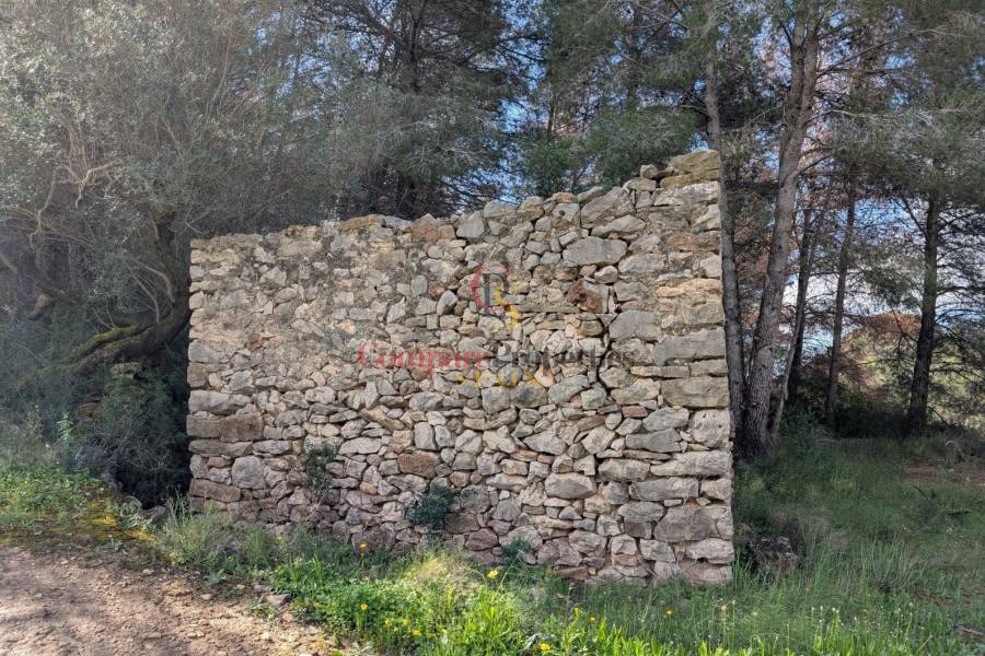 Venta - Plot - Benissa - Partida Biasner