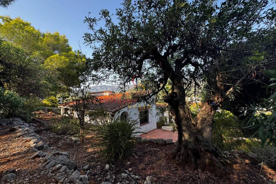 Verkoop - Villa - Orba Valley - 