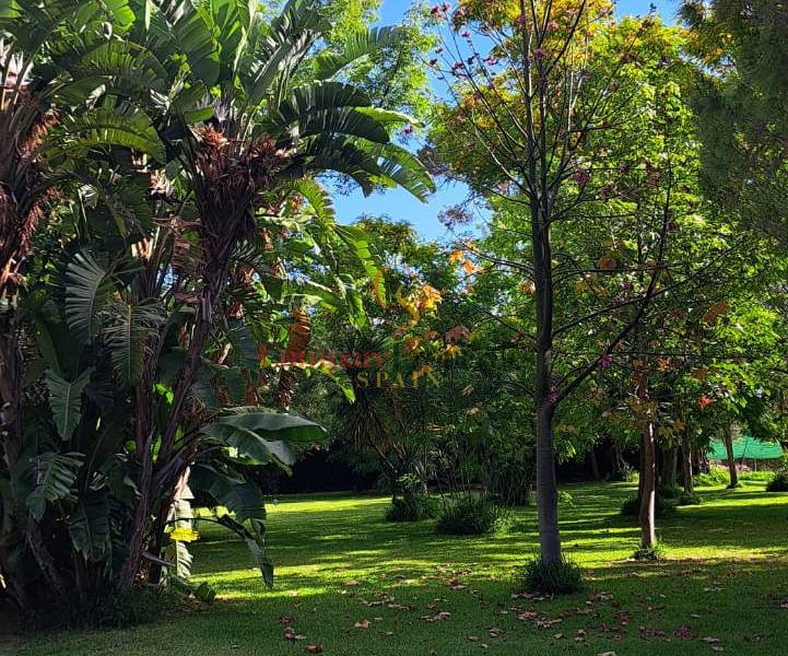 Venta - Villa - Ondara