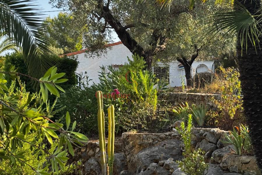 Verkoop - Villa - Orba Valley - 
