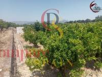 Sale - Apartment - La Font d'en Carròs - La Font d'en Carrós