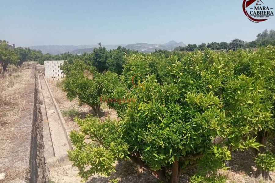 Sale - Apartment - La Font d'en Carròs - La Font d'en Carrós